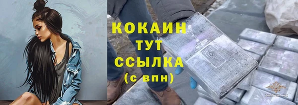 гашик Нягань