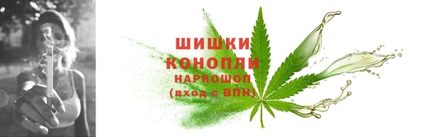 гашик Нягань