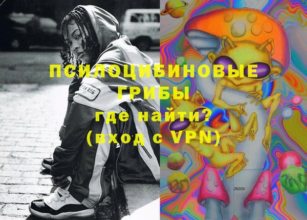 гашик Нягань