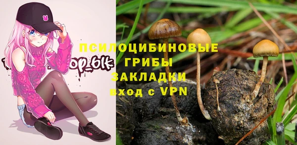 соль курить ск Нязепетровск