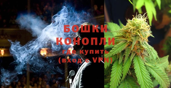гашик Нягань