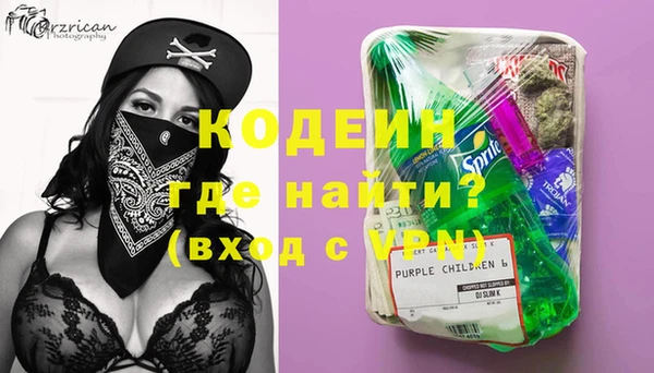 гашик Нягань