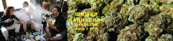 тгк Няндома