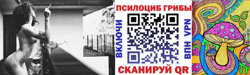 Псилоцибиновые грибы Psilocybine cubensis  Староминская 